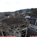 10_25-nest.jpg