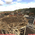 10_30-nest.jpg