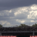 10_35-mast.jpg
