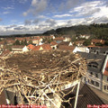 10_35-nest.jpg