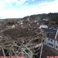 10_40-nest.jpg