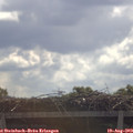 10_45-mast.jpg