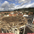 10_45-nest.jpg
