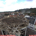 10_55-nest.jpg