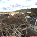 11_05-nest.jpg