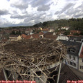 11_15-nest.jpg