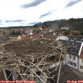 11_25-nest.jpg