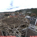 11_35-nest.jpg