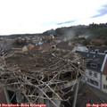 11_40-nest.jpg