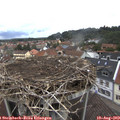 11_55-nest.jpg