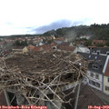 12_05-nest.jpg