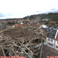12_15-nest.jpg