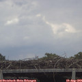 12_20-mast.jpg