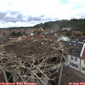 12_20-nest.jpg