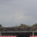 12_25-mast.jpg