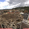 12_25-nest.jpg
