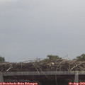 12_30-mast.jpg