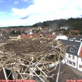 12_30-nest.jpg