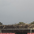 12_35-mast.jpg