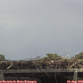 12_45-mast.jpg