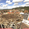 12_45-nest.jpg