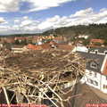 12_55-nest.jpg