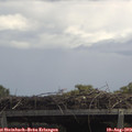 13_05-mast.jpg