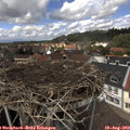 13_05-nest.jpg