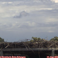13_15-mast.jpg