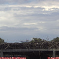 13_20-mast.jpg