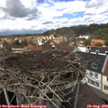 13_20-nest.jpg