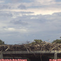 13_25-mast.jpg