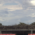 13_30-mast.jpg