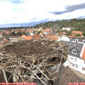 13_45-nest.jpg