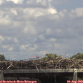 13_50-mast.jpg
