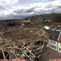 13_50-nest.jpg