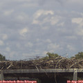 13_55-mast.jpg