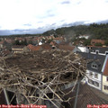 14_00-nest.jpg