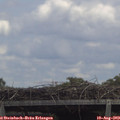 14_05-mast.jpg