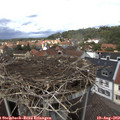 14_05-nest.jpg