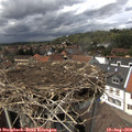 14_10-nest.jpg