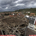 14_15-nest.jpg