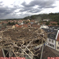 14_20-nest.jpg