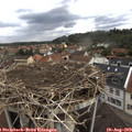 14_25-nest.jpg