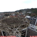 14_35-nest.jpg
