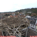 14_45-nest.jpg