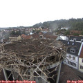 14_50-nest.jpg
