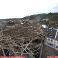 14_55-nest.jpg