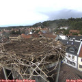 15_00-nest.jpg