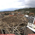 15_05-nest.jpg